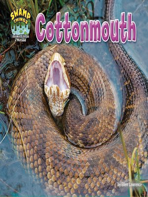 cover image of Cottonmouth